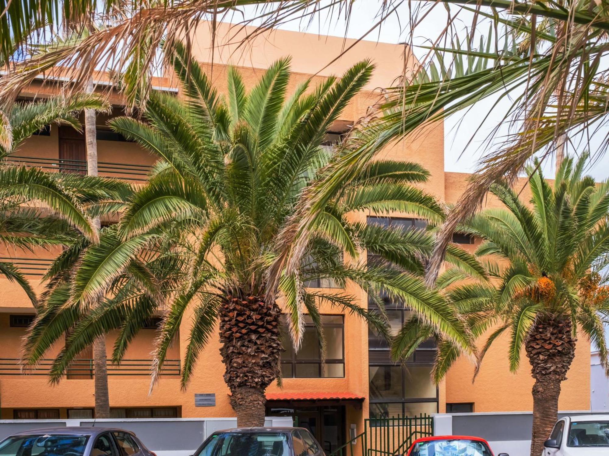 Live Punta Columbus Pool & Beach Front Punta Del Hidalgo Exterior foto